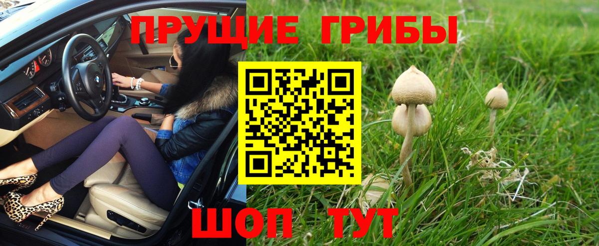 Галлюциногенные грибы ЛСД Бердск