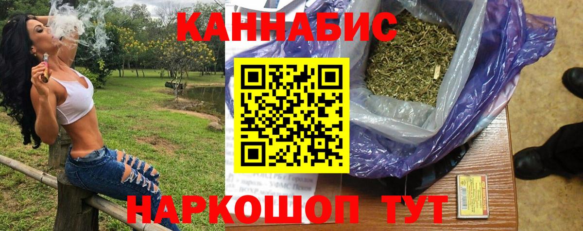 Бошки марихуана планчик  Вход с VPN  Бердск  Каннабис Ganja 